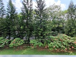 Banyan Condominium (D5), Condominium #413690381